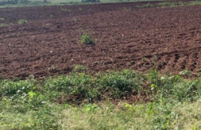 Fazenda para venda em São Manuel